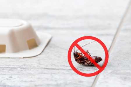 INFESTAZIONE IN VACANZA?