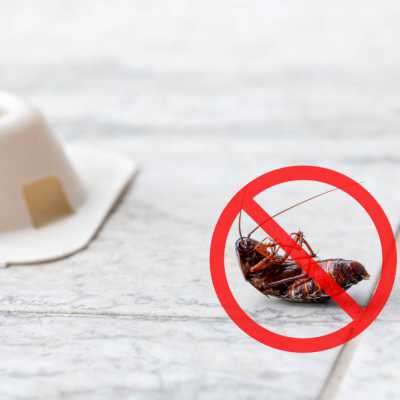 INFESTAZIONE IN VACANZA?